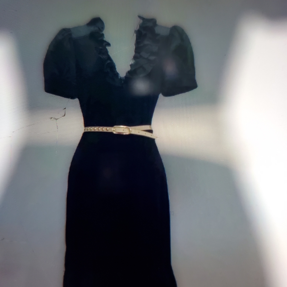 Bebe NWOT Puff Sleeve Ruffle Dress — (tag fell off). Never worn - Picture 8 of 11